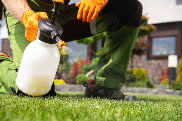 Best Pest Control Treatment  in Duarte, CA
