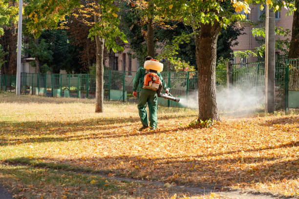 Best Pest Prevention Services  in Duarte, CA