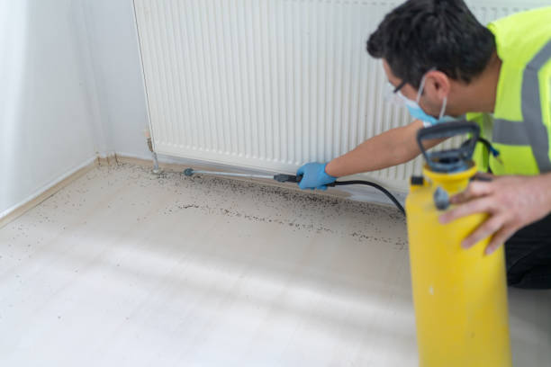 Best Exterminator Services  in Duarte, CA