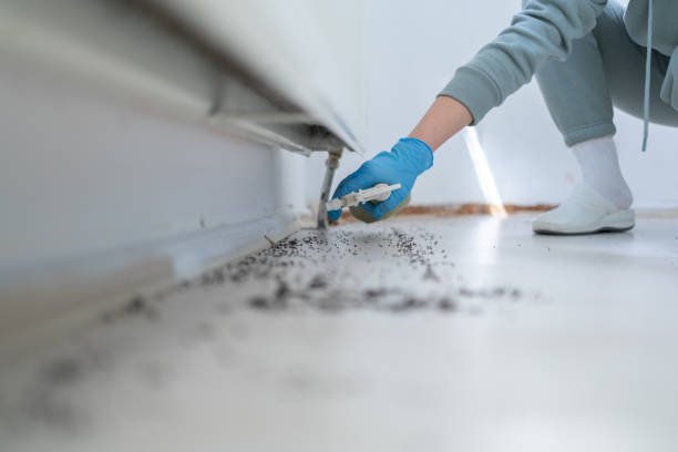 Duarte, CA Pest Control Company